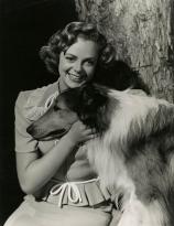 June Lockhart - Son of Lassie (MGM, 1945)