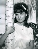 Dawn Wells from Gilligans Island 1964