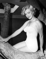 Marilyn Monroe poses in a tree