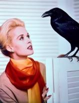 Tippi Hedren with one of her co-stars in The Birds, Universal,1963
