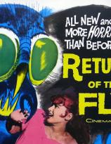 Poster for Return of the Fly (1959)
