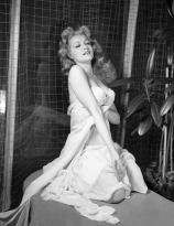 Julie Newmar all wrapped up