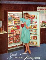 1965, Sears Coldspot Freezer